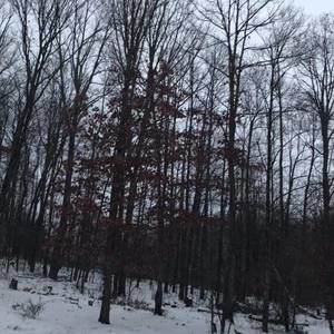 Meet your Posher, Tommy